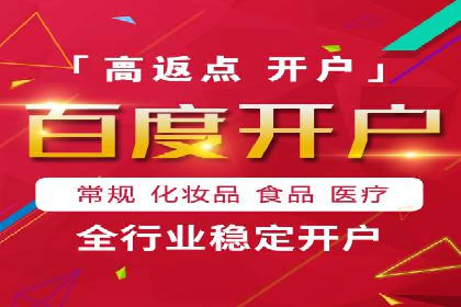 百度竞价与搜索引擎优化（SEO）的协同效应案例